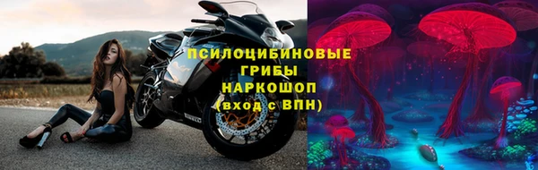 винт Новокубанск
