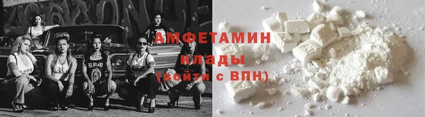 крисы Новозыбков