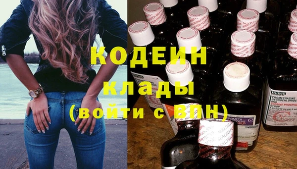 крисы Новозыбков