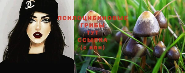 молекула духа Бежецк