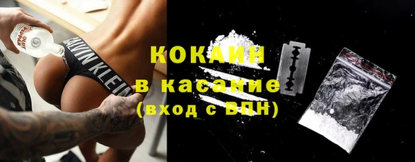 спиды Новодвинск