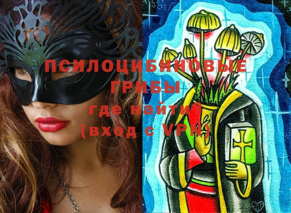 крисы Новозыбков
