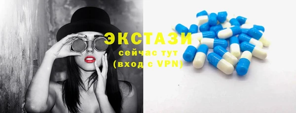 крисы Новозыбков