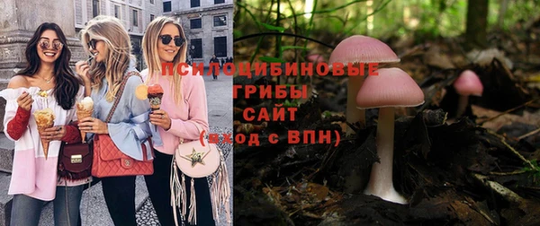 крисы Новозыбков