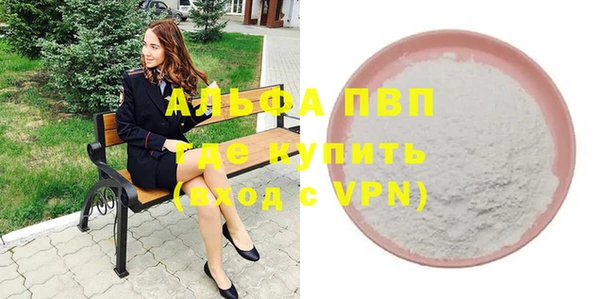 спиды Новодвинск