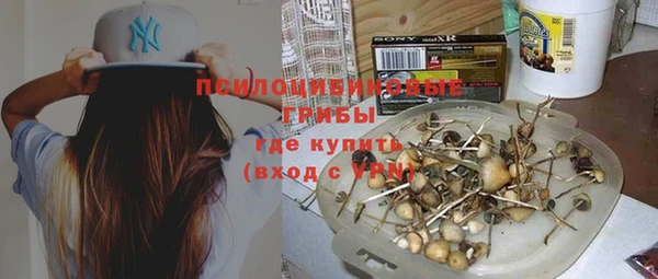 крисы Новозыбков