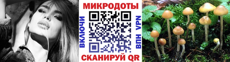 mega ТОР  площадка официальный сайт  Псилоцибиновые грибы мицелий  даркнет сайт  Тавда 
