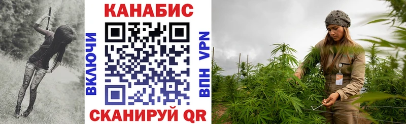 сколько стоит  Тавда  Шишки марихуана тримм 